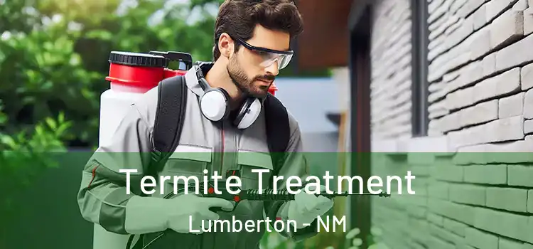  Termite Treatment Lumberton - NM