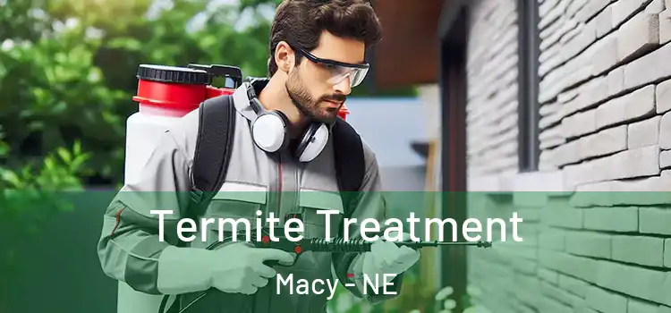  Termite Treatment Macy - NE