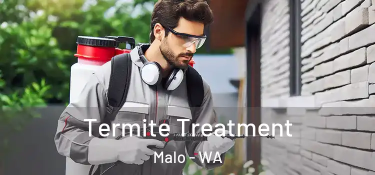  Termite Treatment Malo - WA