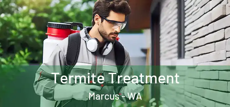  Termite Treatment Marcus - WA