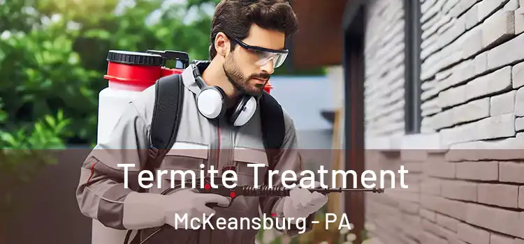  Termite Treatment McKeansburg - PA