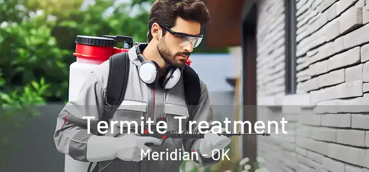  Termite Treatment Meridian - OK
