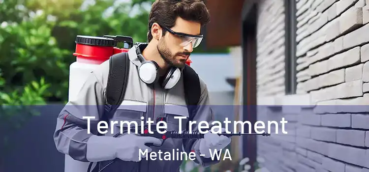  Termite Treatment Metaline - WA