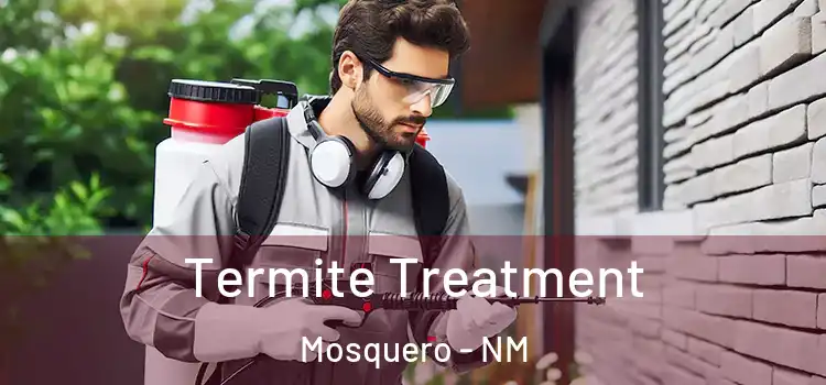  Termite Treatment Mosquero - NM