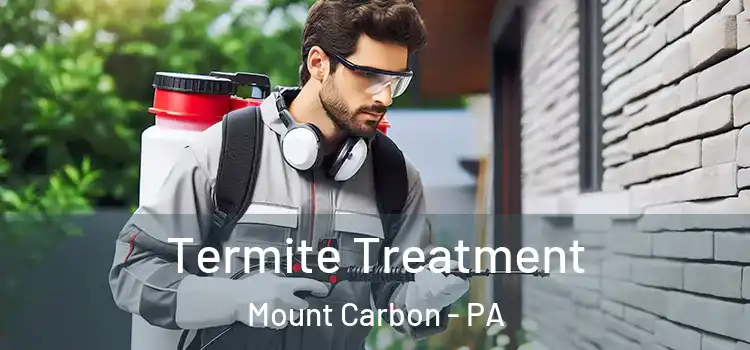  Termite Treatment Mount Carbon - PA