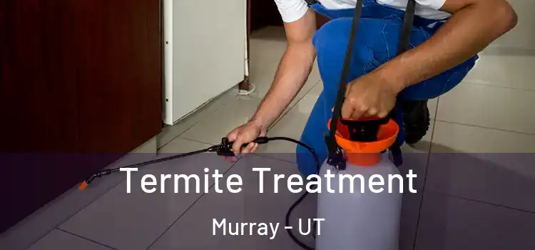  Termite Treatment Murray - UT