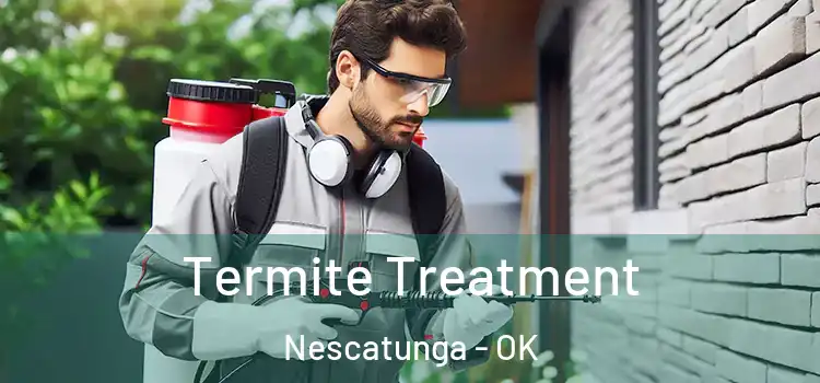  Termite Treatment Nescatunga - OK