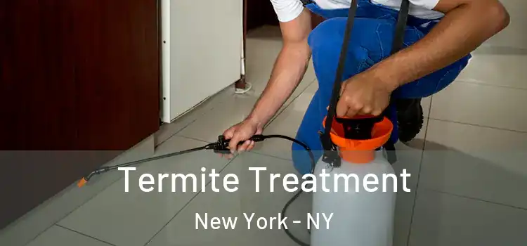  Termite Treatment New York - NY