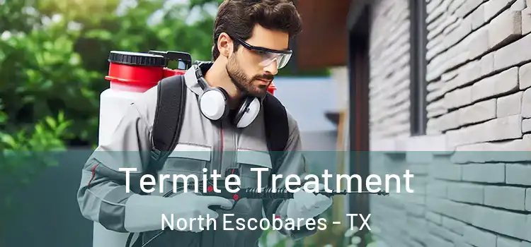  Termite Treatment North Escobares - TX