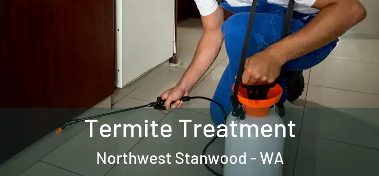 Termite Treatment Northwest Stanwood - WA