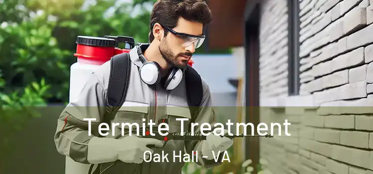 Termite Treatment Oak Hall - VA