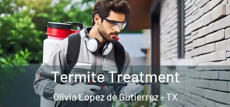  Termite Treatment Olivia Lopez de Gutierrez - TX