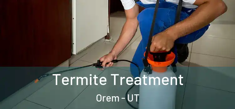  Termite Treatment Orem - UT
