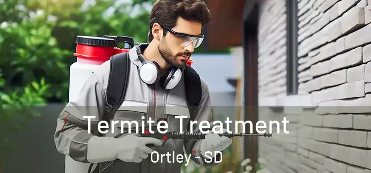  Termite Treatment Ortley - SD