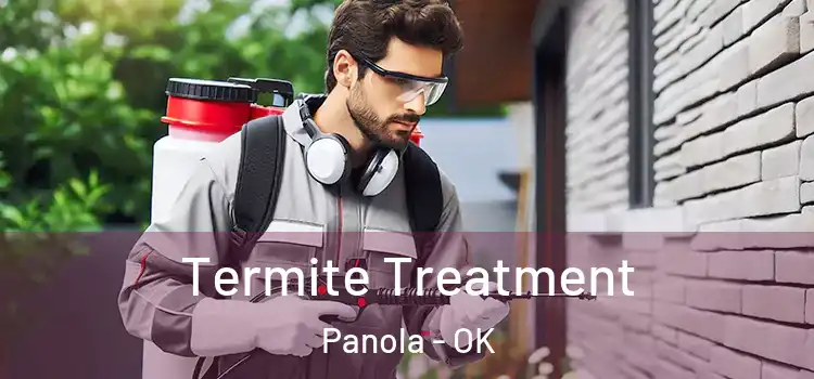  Termite Treatment Panola - OK