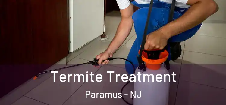 Termite Treatment Paramus - NJ