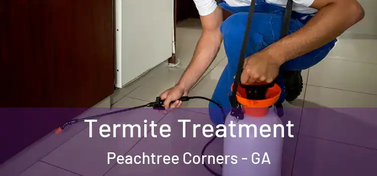  Termite Treatment Peachtree Corners - GA