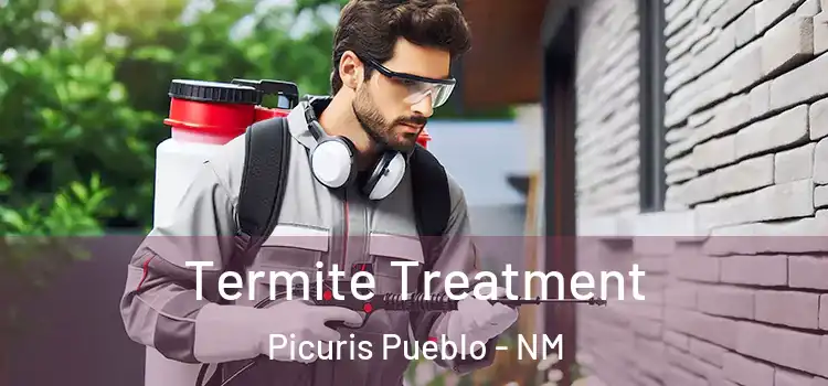  Termite Treatment Picuris Pueblo - NM