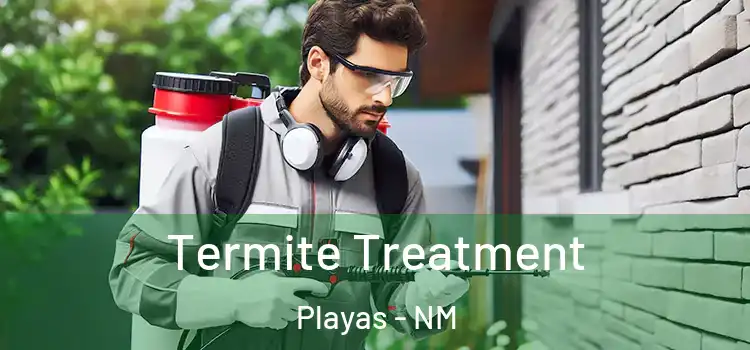 Termite Treatment Playas - NM