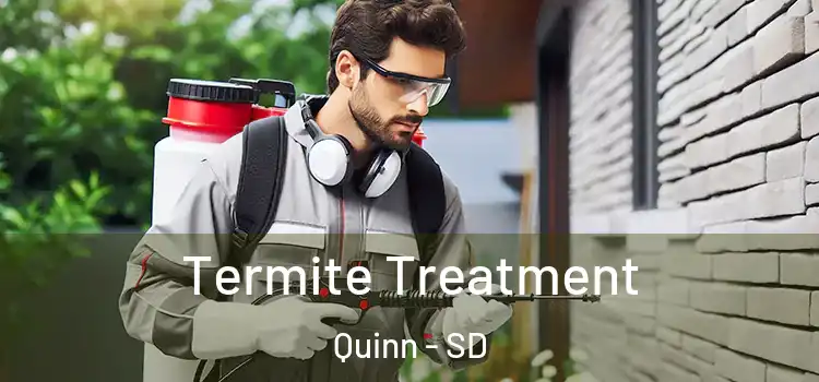  Termite Treatment Quinn - SD