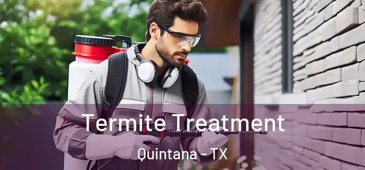 Termite Treatment Quintana - TX