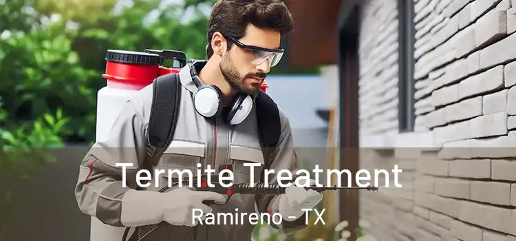  Termite Treatment Ramireno - TX