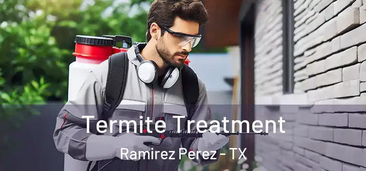  Termite Treatment Ramirez Perez - TX