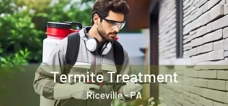  Termite Treatment Riceville - PA