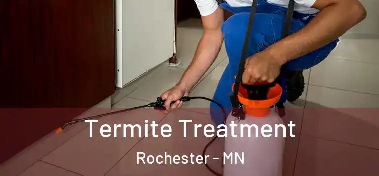  Termite Treatment Rochester - MN