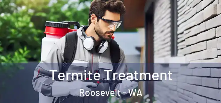  Termite Treatment Roosevelt - WA