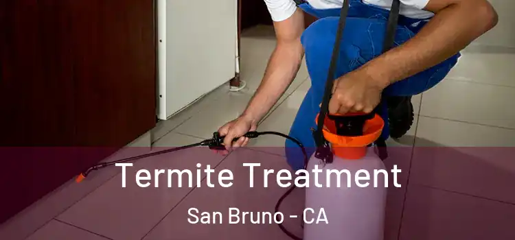  Termite Treatment San Bruno - CA