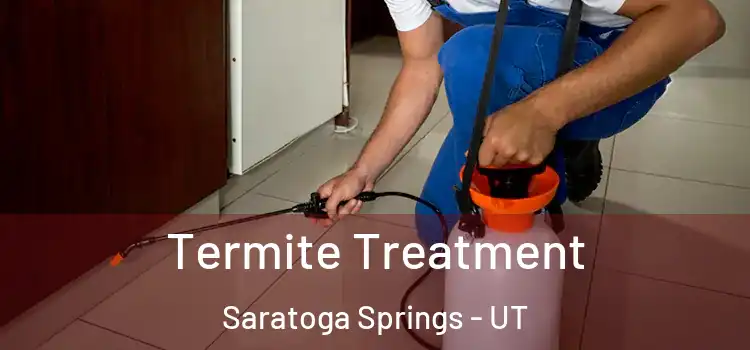  Termite Treatment Saratoga Springs - UT