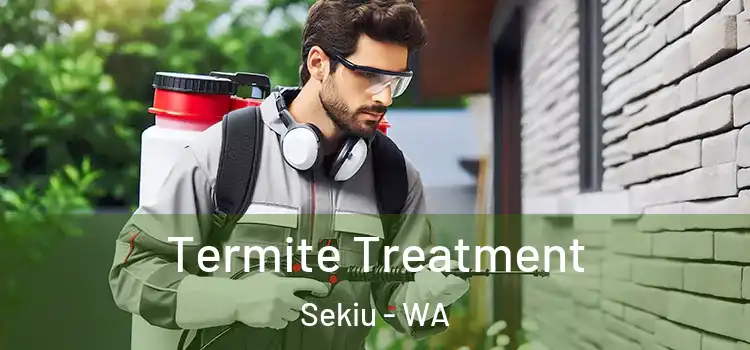  Termite Treatment Sekiu - WA