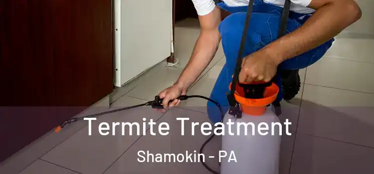  Termite Treatment Shamokin - PA