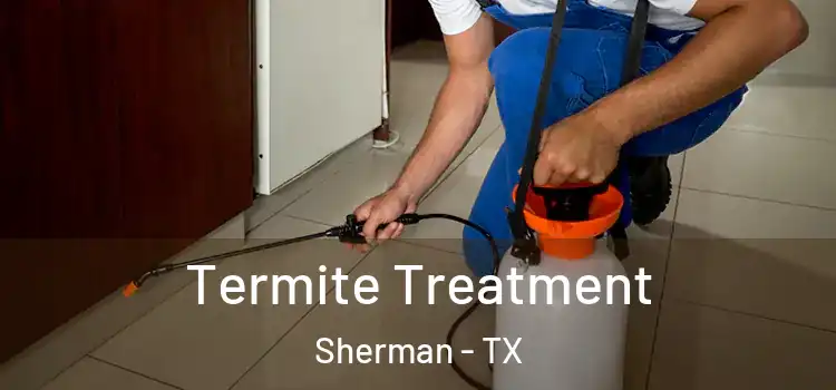 Termite Treatment Sherman - TX