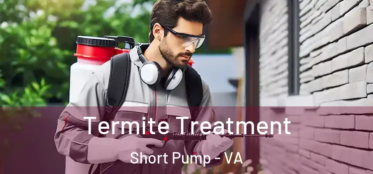 Termite Treatment Short Pump - VA