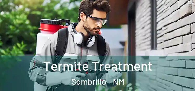 Termite Treatment Sombrillo - NM