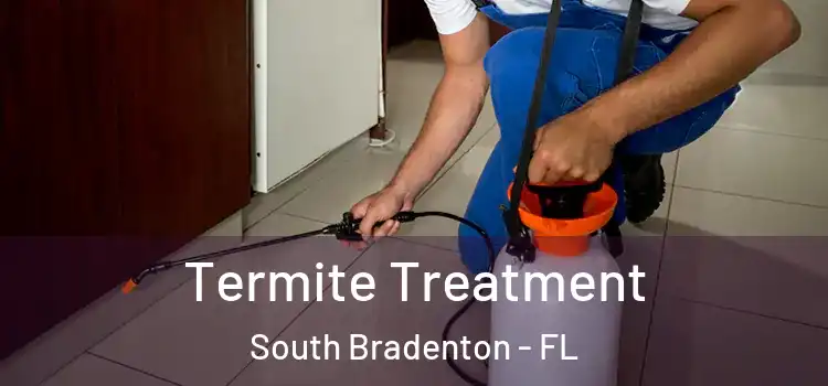 Termite Treatment South Bradenton - FL