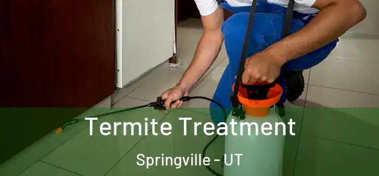  Termite Treatment Springville - UT