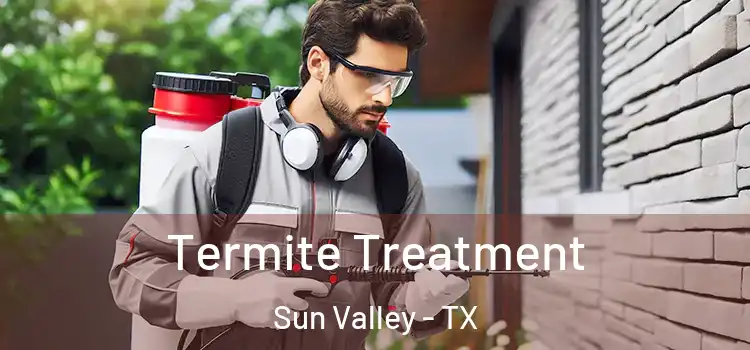  Termite Treatment Sun Valley - TX