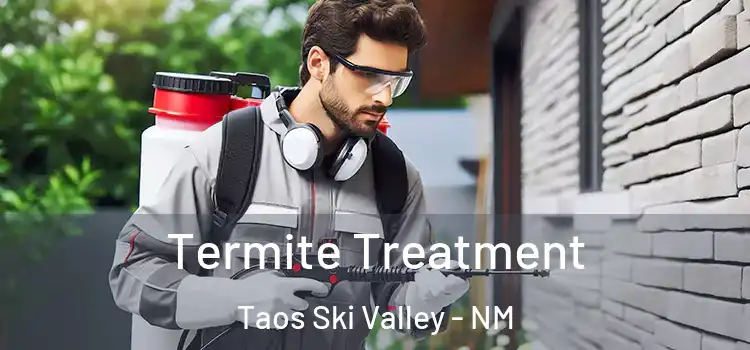 Termite Treatment Taos Ski Valley - NM
