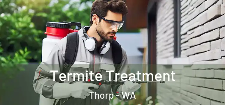  Termite Treatment Thorp - WA