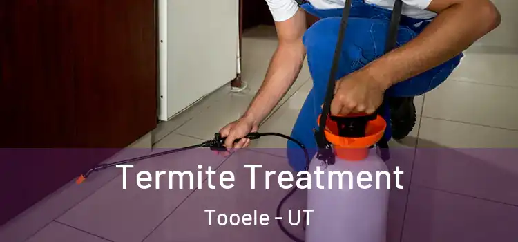  Termite Treatment Tooele - UT