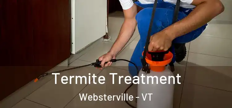  Termite Treatment Websterville - VT