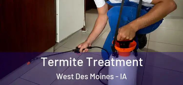  Termite Treatment West Des Moines - IA