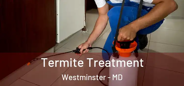  Termite Treatment Westminster - MD