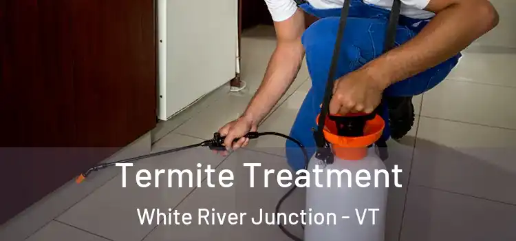  Termite Treatment White River Junction - VT