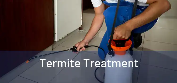 Termite Treatment