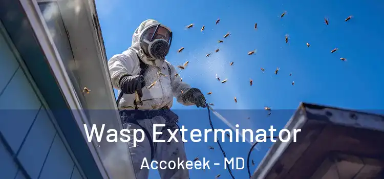  Wasp Exterminator Accokeek - MD