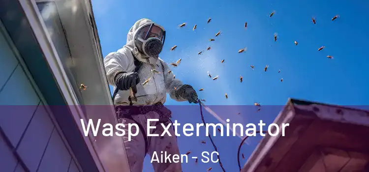  Wasp Exterminator Aiken - SC